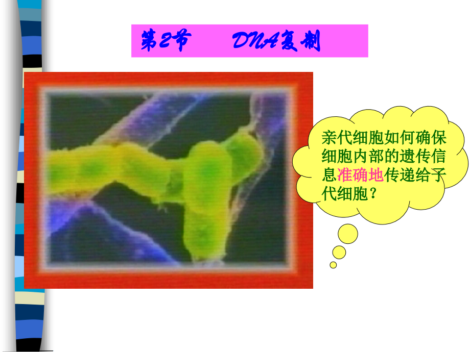 DNA复制和蛋白质合成.ppt_第1页