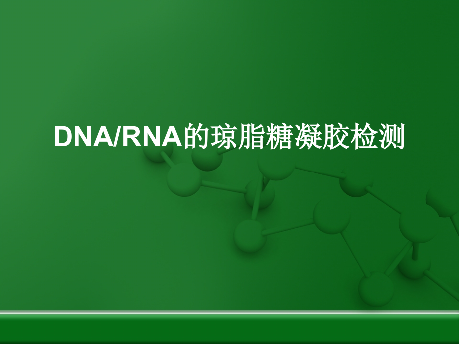 琼脂糖凝胶电泳.ppt_第1页