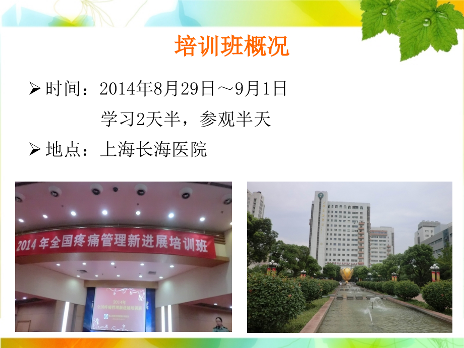 疼痛护理学习班汇报课件.ppt_第2页