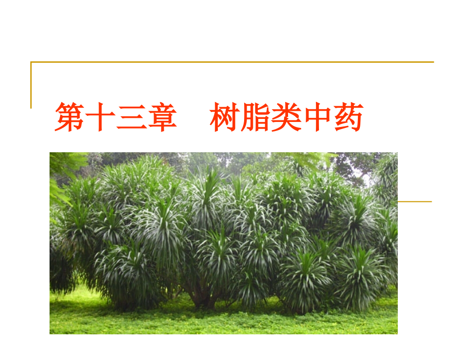 树脂类中药.ppt_第1页