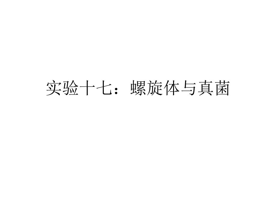 实验十七螺旋体与真菌.ppt_第1页