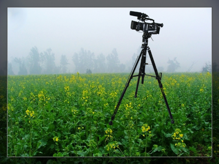 z三角形的稳定性3.ppt_第2页