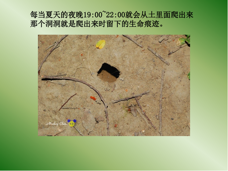 金蝉脱壳的全过程.ppt_第2页