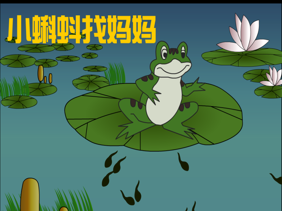 小蝌蚪找妈妈(新)ppt.ppt_第1页