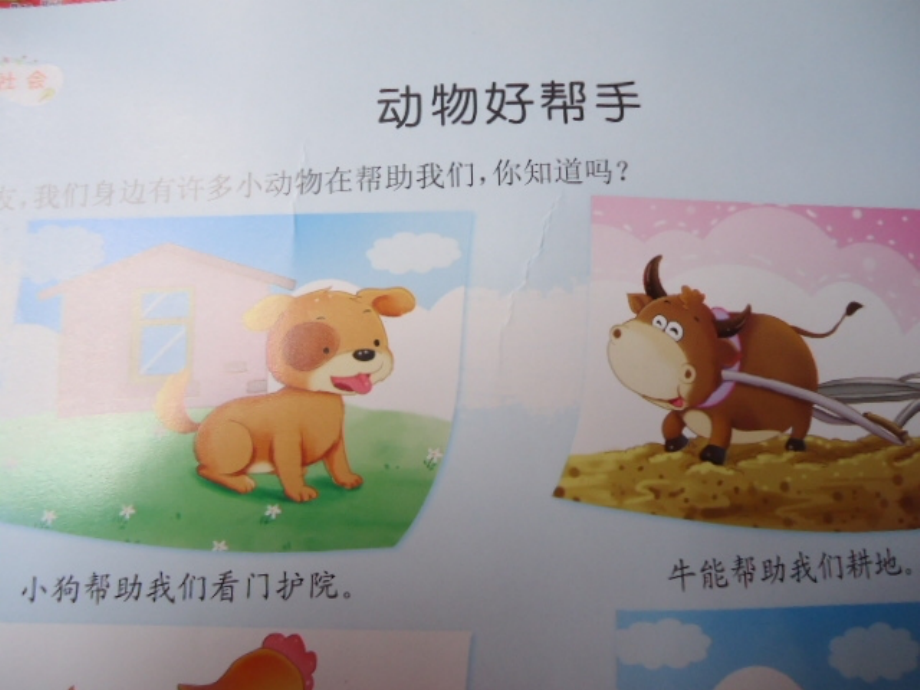 动物好帮手.ppt_第1页