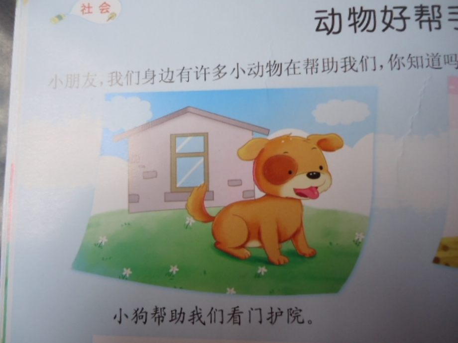 动物好帮手.ppt_第2页