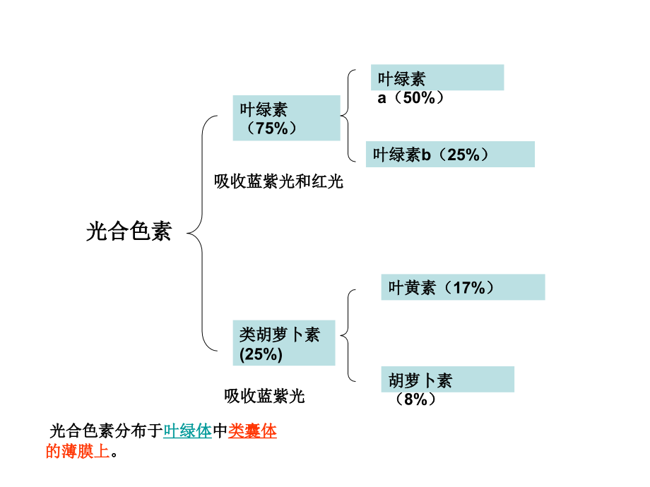 光合作用(光合色素).ppt_第2页