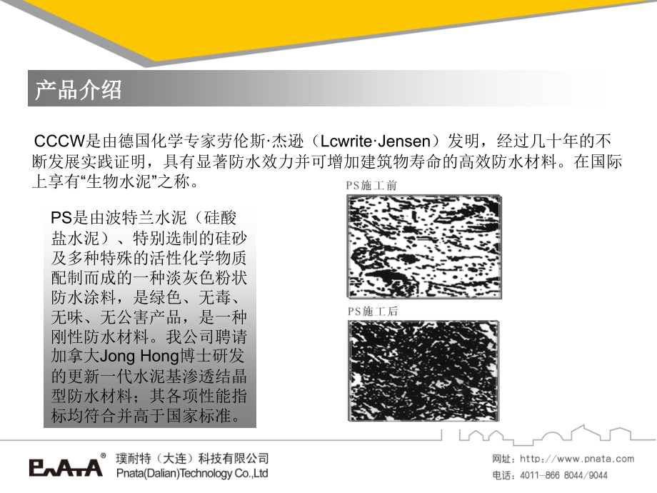 PS水泥基渗透结晶型防水涂料.ppt_第2页