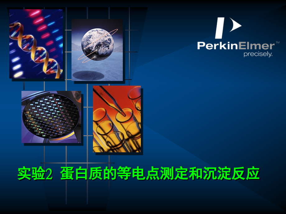 蛋白沉淀反应.ppt_第1页