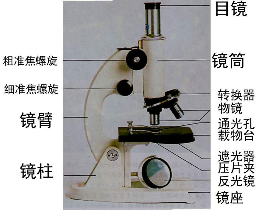 二对细胞的深入探索.ppt_第2页