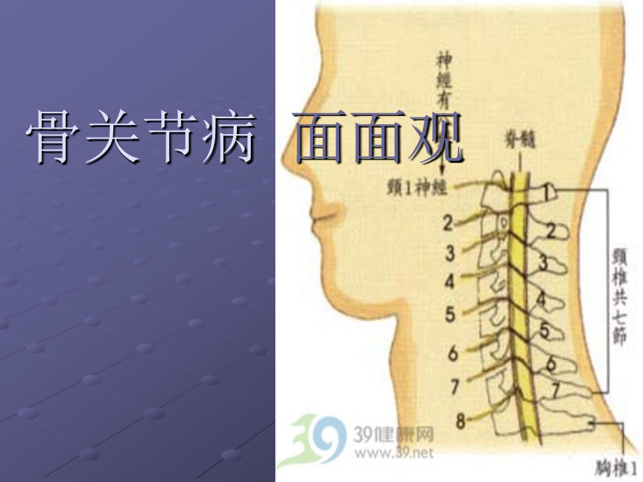 骨关节病面面观.ppt_第1页