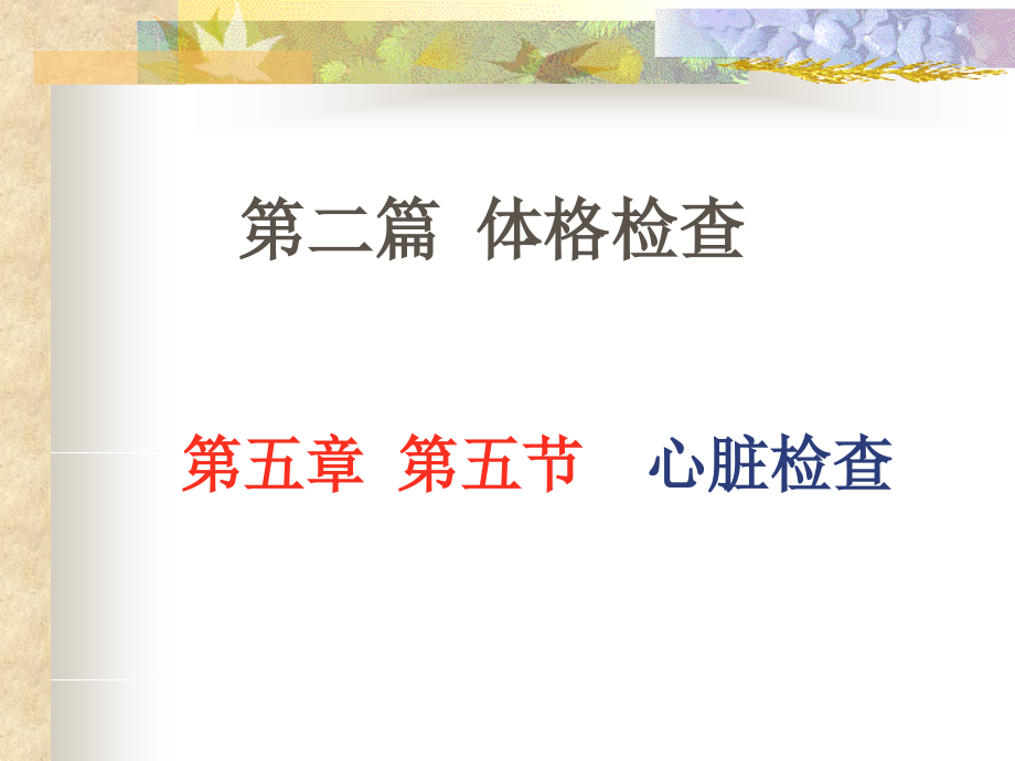 第五章 第五节 心脏.ppt_第1页