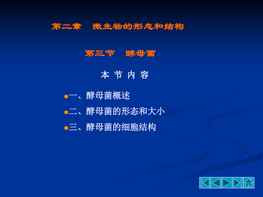 酵母菌的形态结构.ppt_第2页