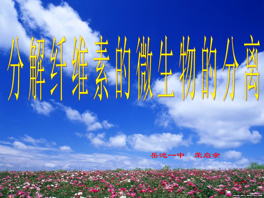 分解纤维素的微生物的分离(原创).ppt_第1页