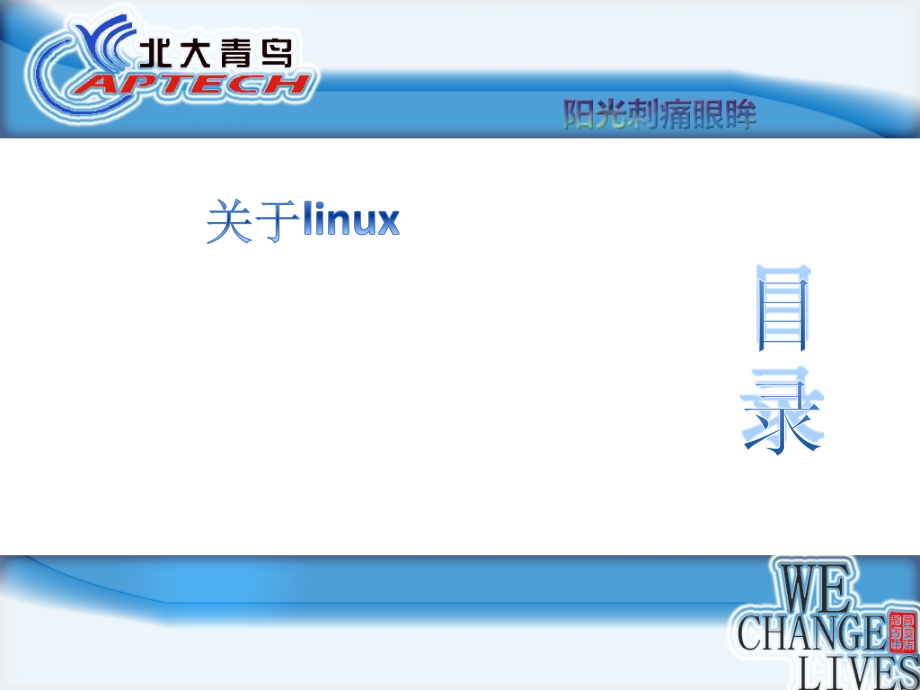 如何硬盘安装linux实现多操作系统.pptx_第2页