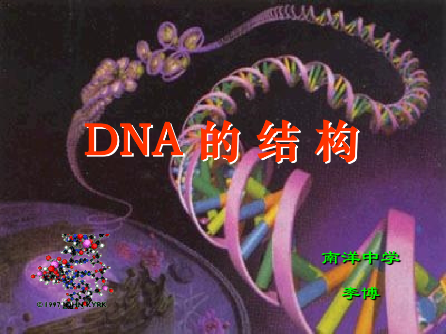 DNA的结构、基因的概念.ppt_第1页
