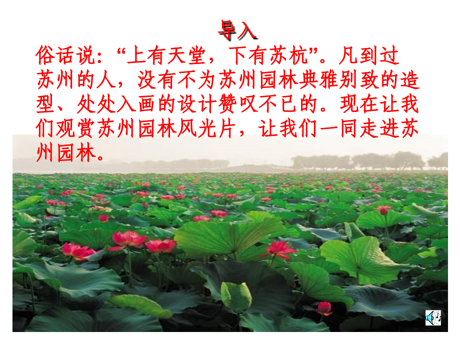 二十一、苏州园林.ppt_第1页