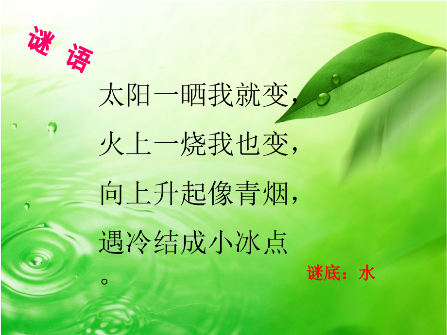 节约用水（语文综合性学习）.pptx_第2页