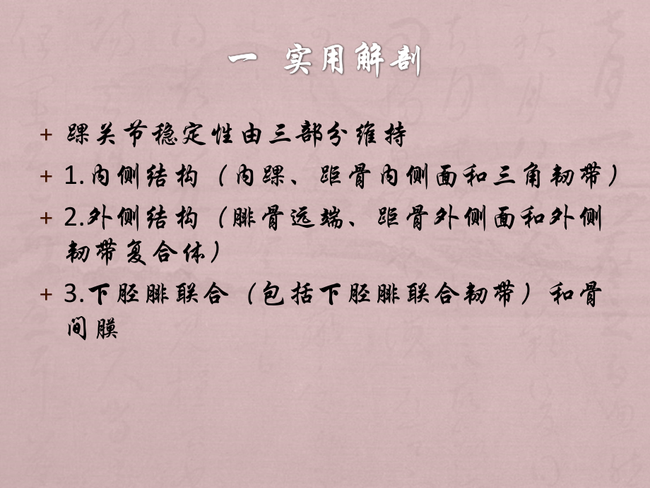 踝关节骨折.pptx_第2页