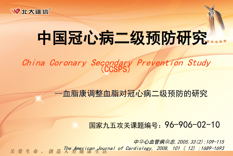 CCSPS(10分钟).ppt_第1页