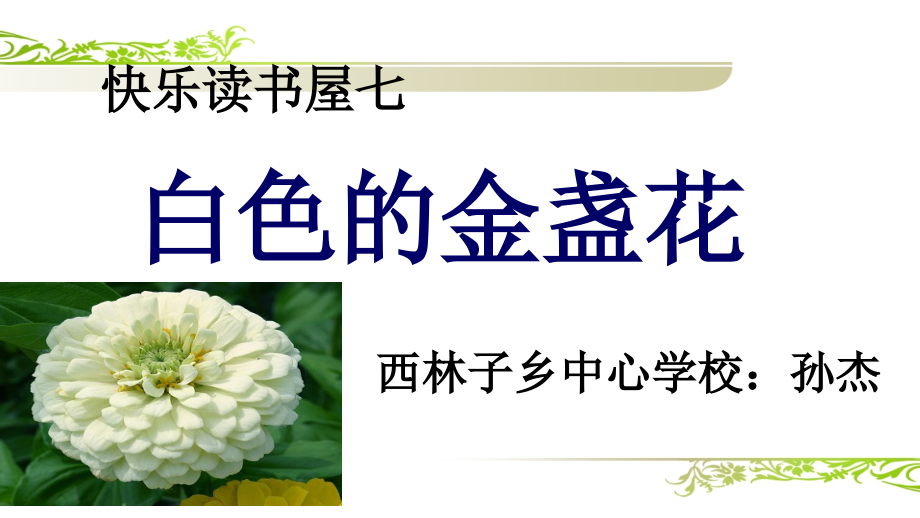 白色的金盏花.ppt_第1页