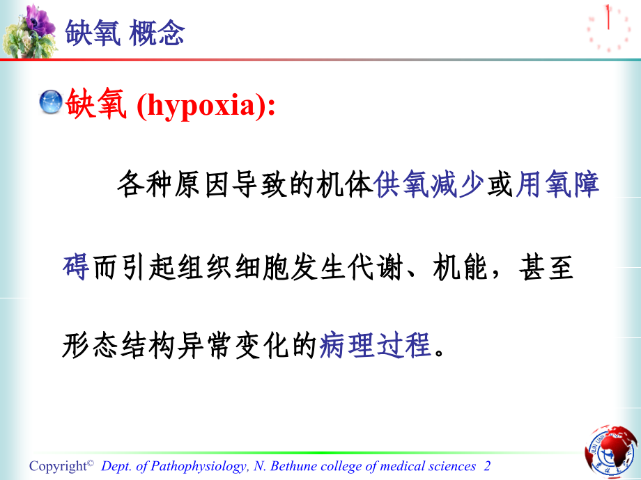 急性低张性缺氧对机体的影响.ppt_第2页