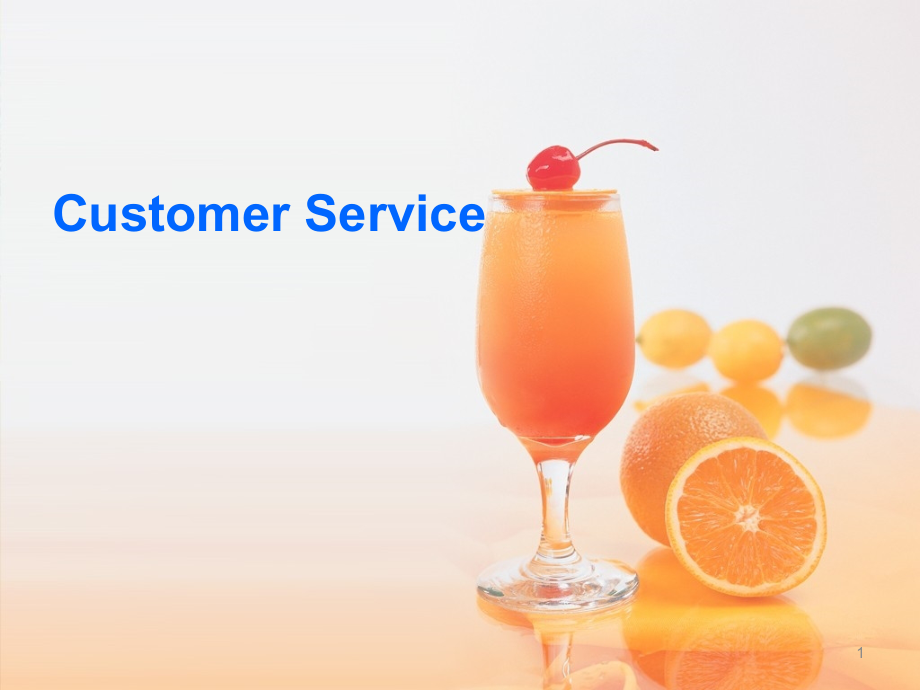 Customer-Service.ppt_第1页