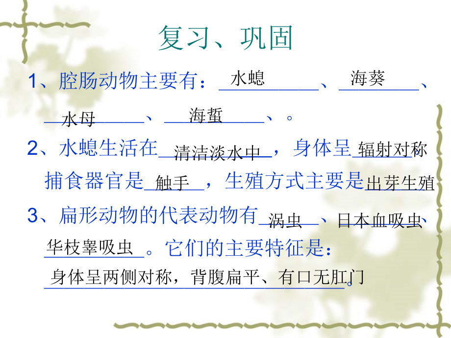 人教版八年级生物线形动物和环节动物.ppt_第2页