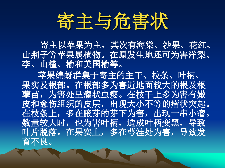 苹果绵蚜防治.ppt_第2页