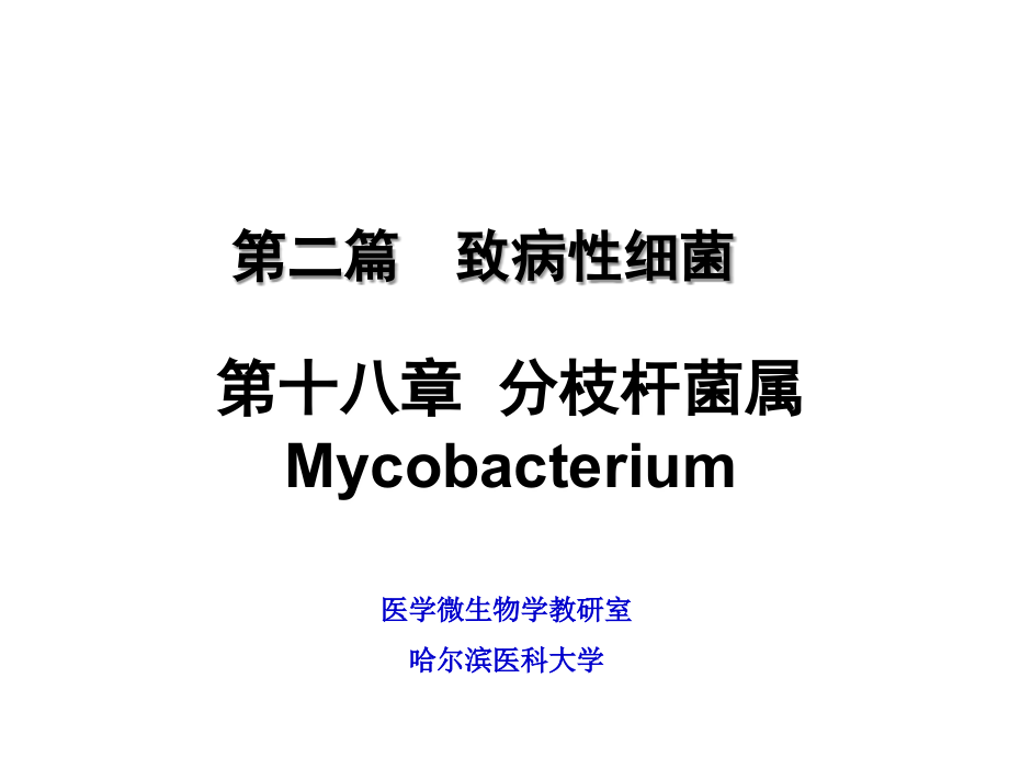 分枝杆菌,梭菌属 2.ppt_第2页