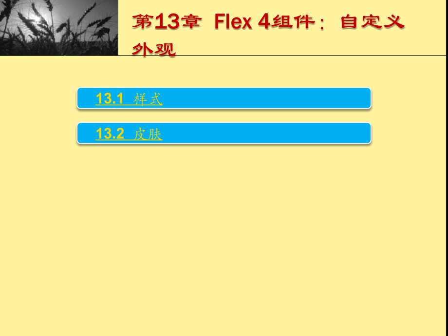 Flex_4组件：自定义外观.ppt_第1页