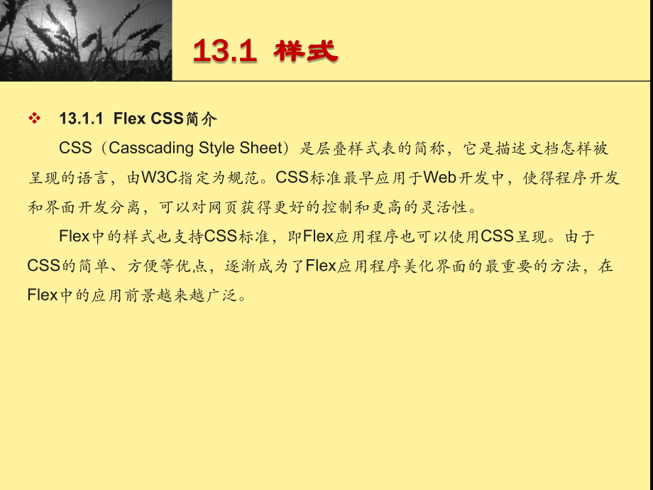 Flex_4组件：自定义外观.ppt_第2页