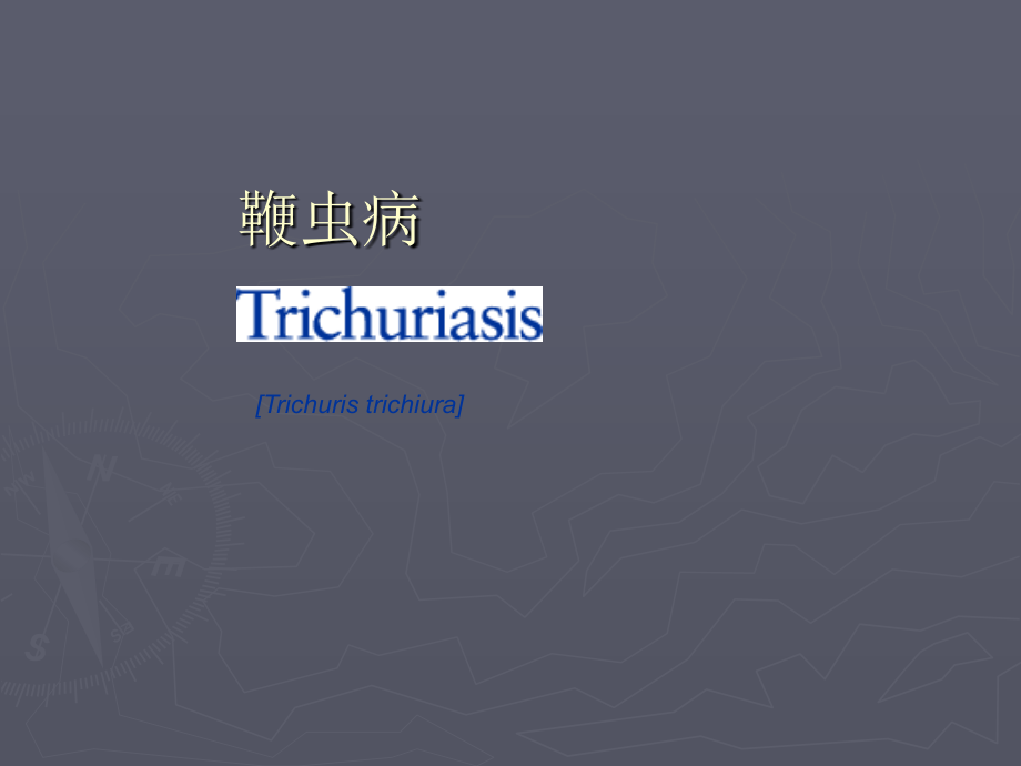 最常见肠道寄生虫.ppt_第2页