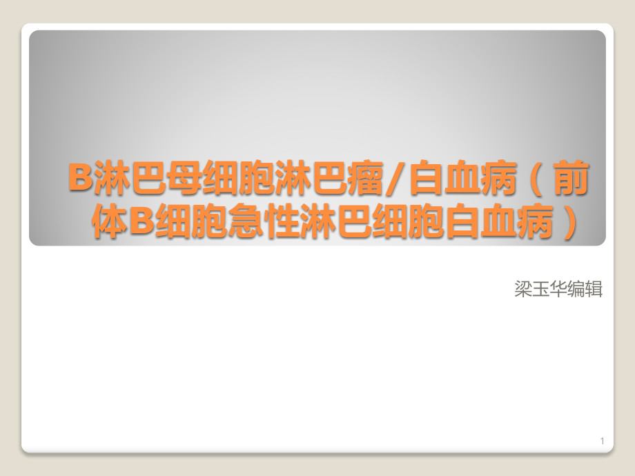 B淋巴母细胞淋巴瘤.pptx_第1页