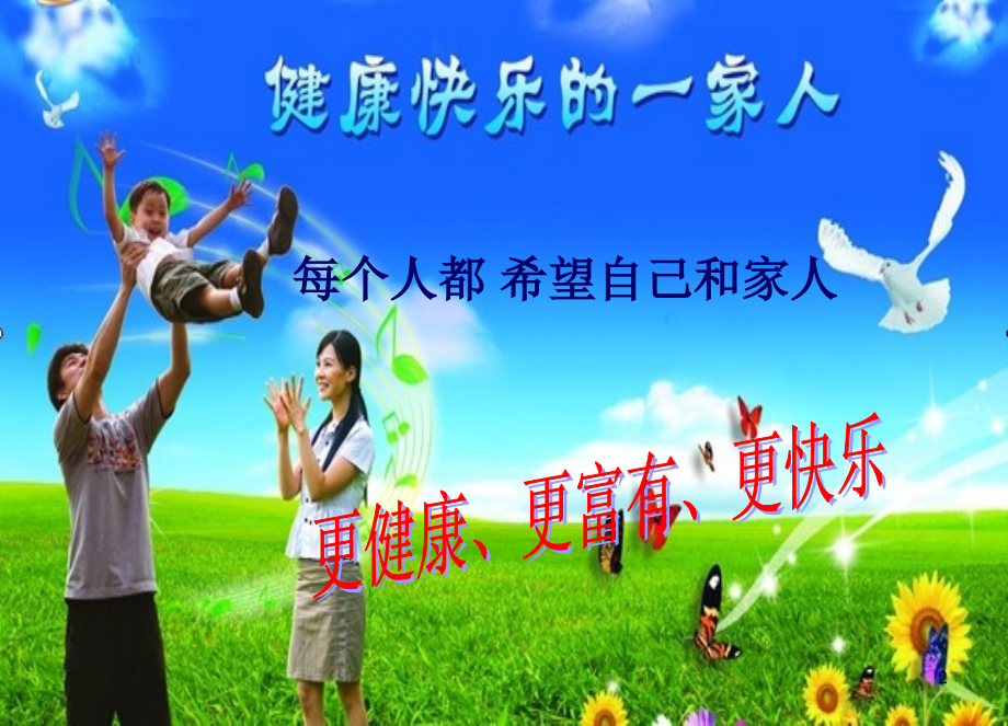 托玛琳自发热护具.ppt_第2页