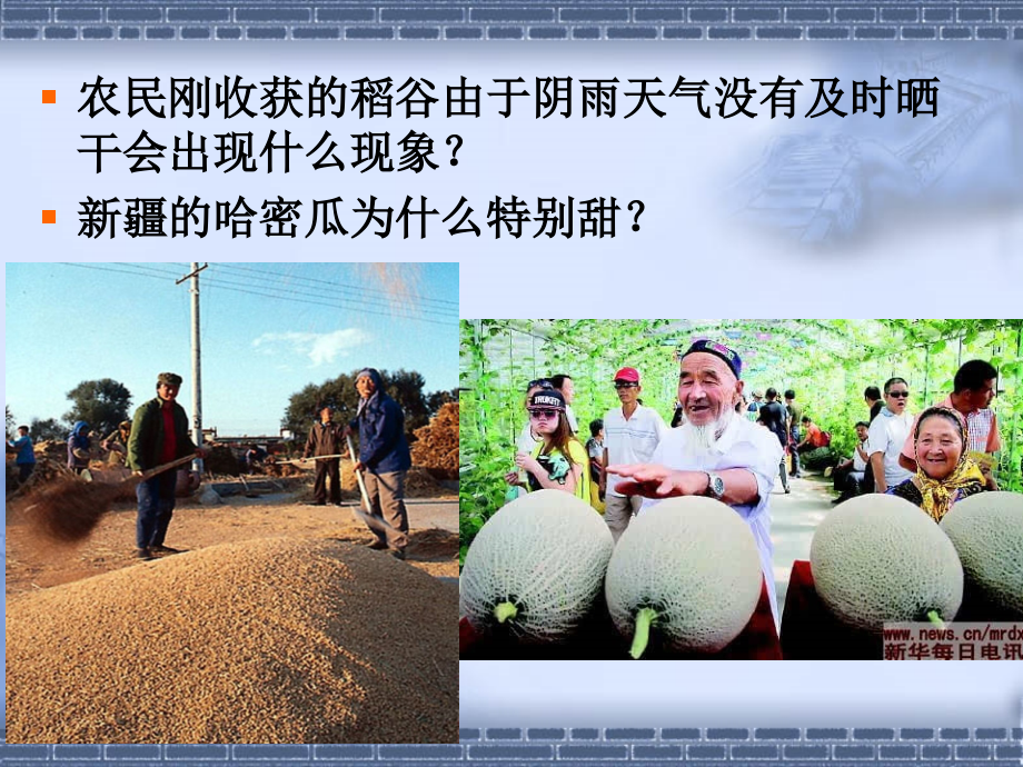 植物的呼吸作用分解.ppt_第2页