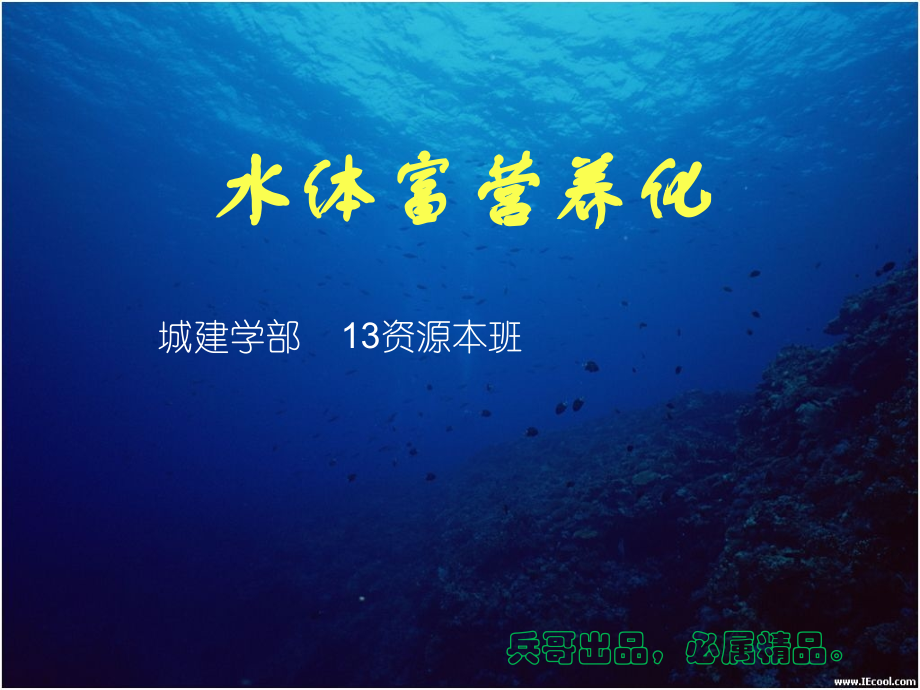 水体富营养化..ppt_第1页
