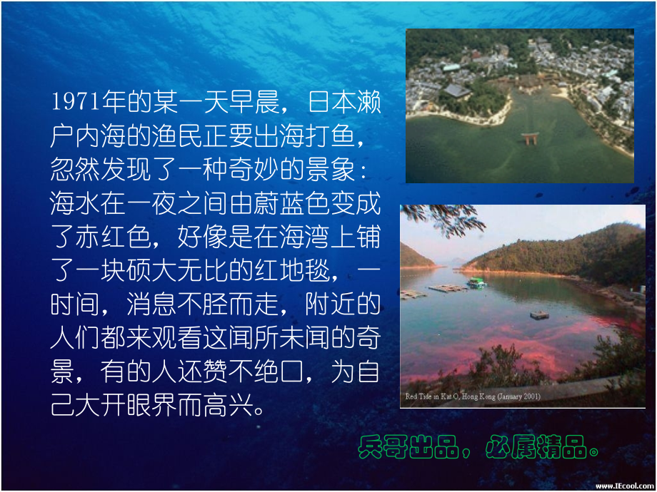 水体富营养化..ppt_第2页