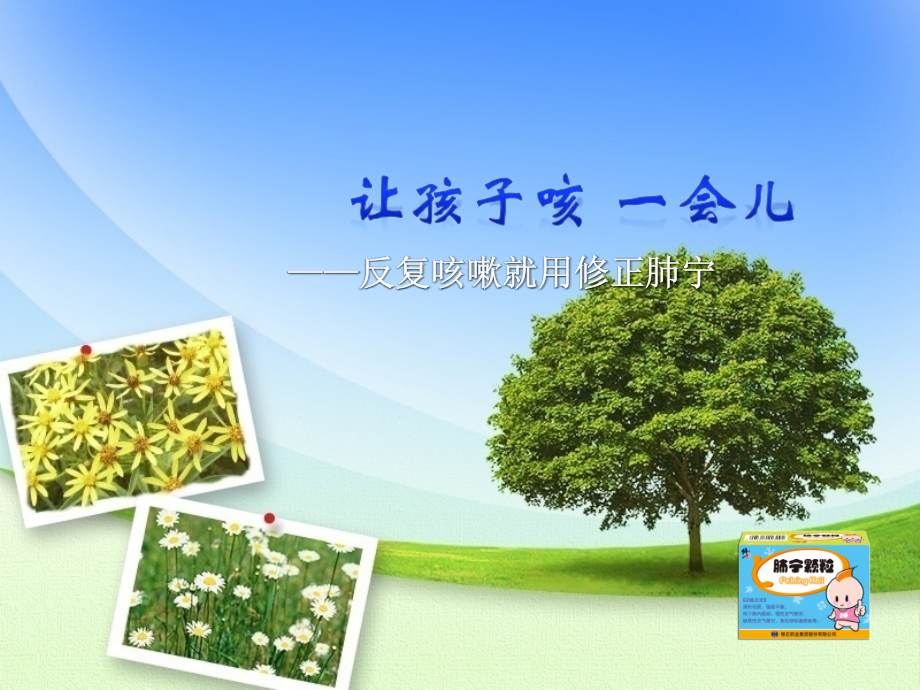 修正肺宁颗粒.ppt_第1页