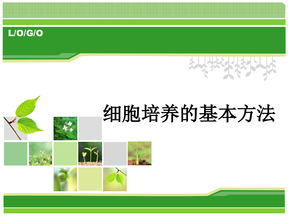 细胞培养的基本方法.ppt_第1页