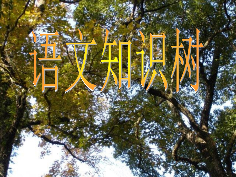 语文知识树.ppt_第1页