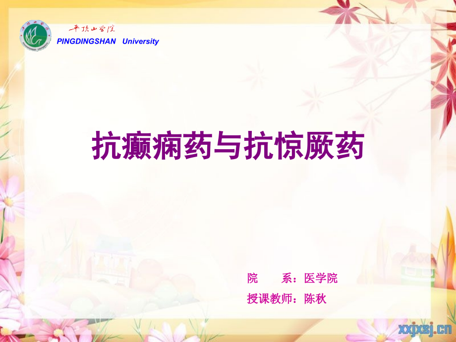 cq13-抗癫痫、抗惊厥药解读.ppt_第1页