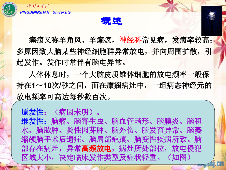 cq13-抗癫痫、抗惊厥药解读.ppt_第2页