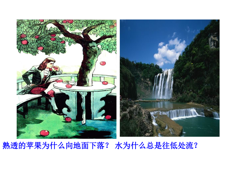 八年级物理下册：第7章第3节-重力-课件.pptx_第2页