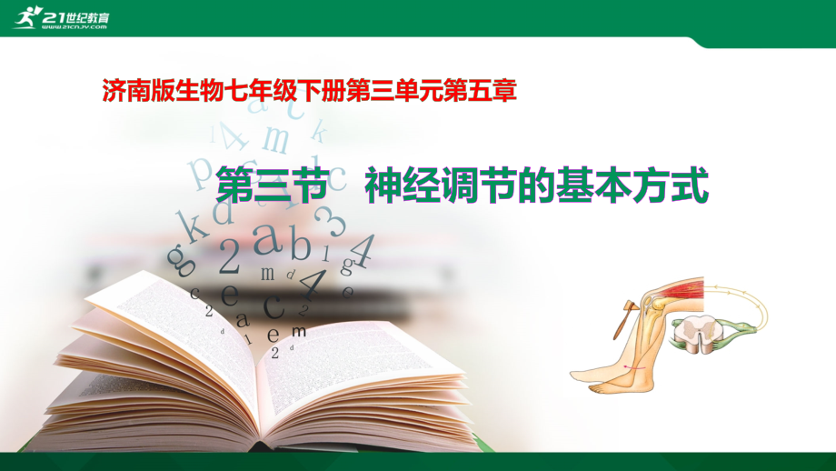 第三节-神经调节的基本方式.pptx_第2页
