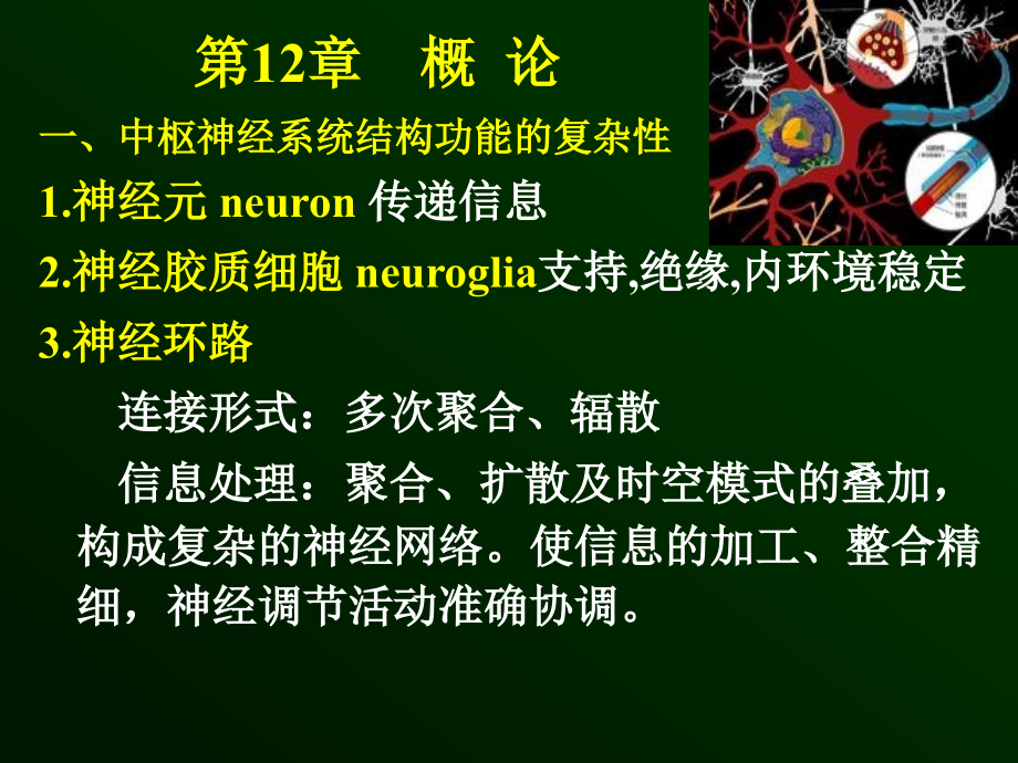 中枢药理本科汇总.ppt_第2页