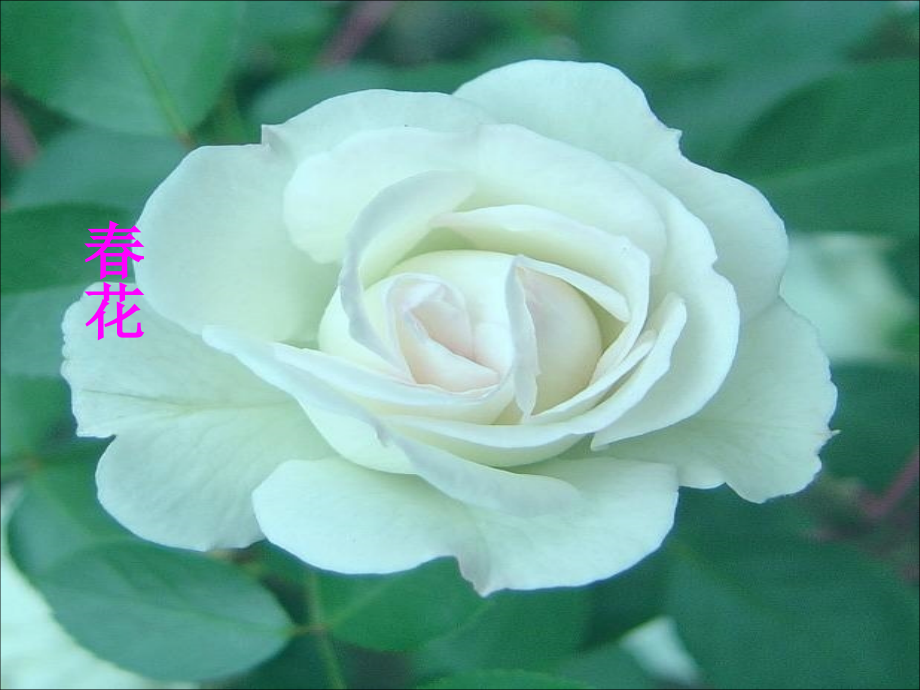 （与初一朋友的对话）.ppt_第2页