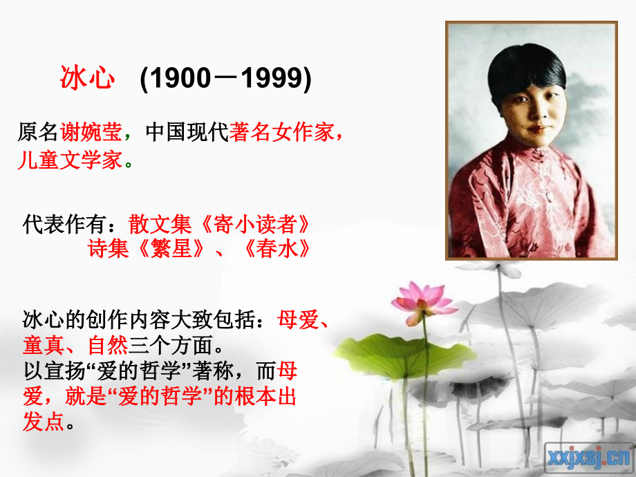 荷叶母亲.ppt_第2页