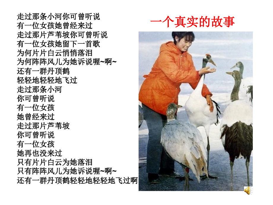 灰椋鸟ppt.ppt_第1页