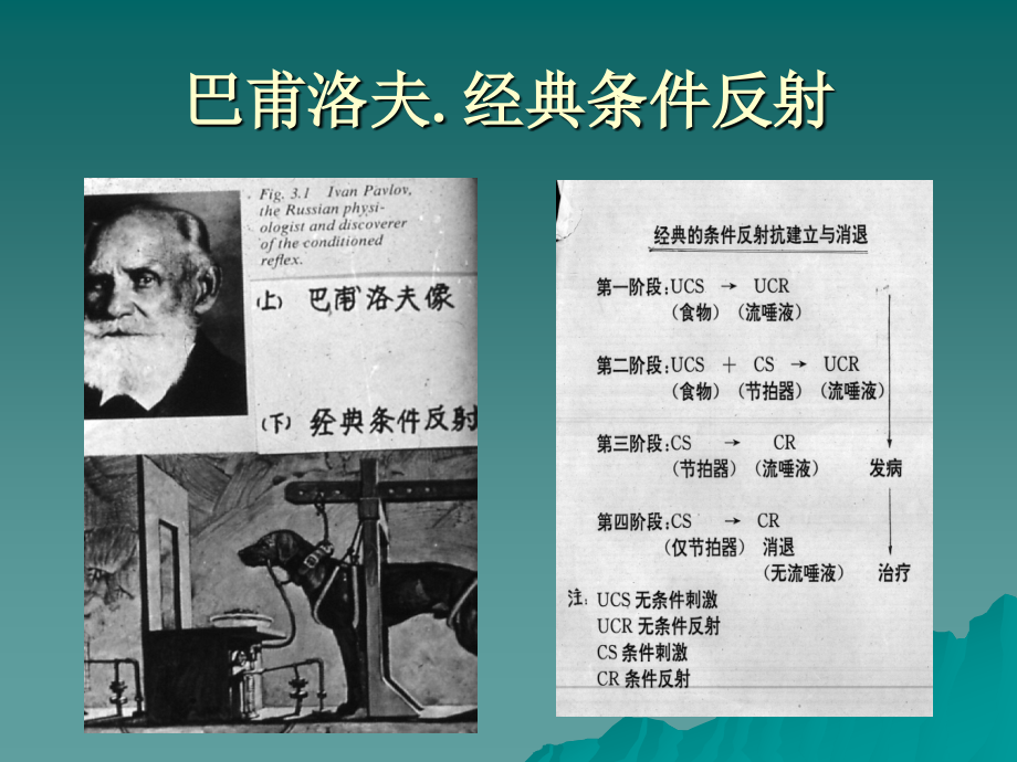 行为主义疗法.ppt_第2页